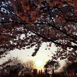 丁度执导《女人皆如此》
