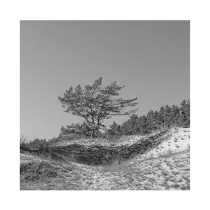 丁度执导《女人皆如此》
